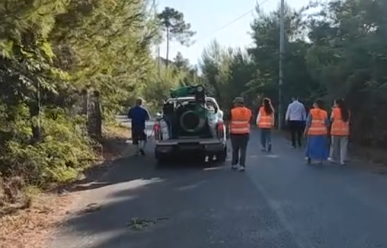 Prania e mushkonjave, vijon procesi i dizinsektimit, Lezhë, Shëngjin dhe lagunën Kune-Vain