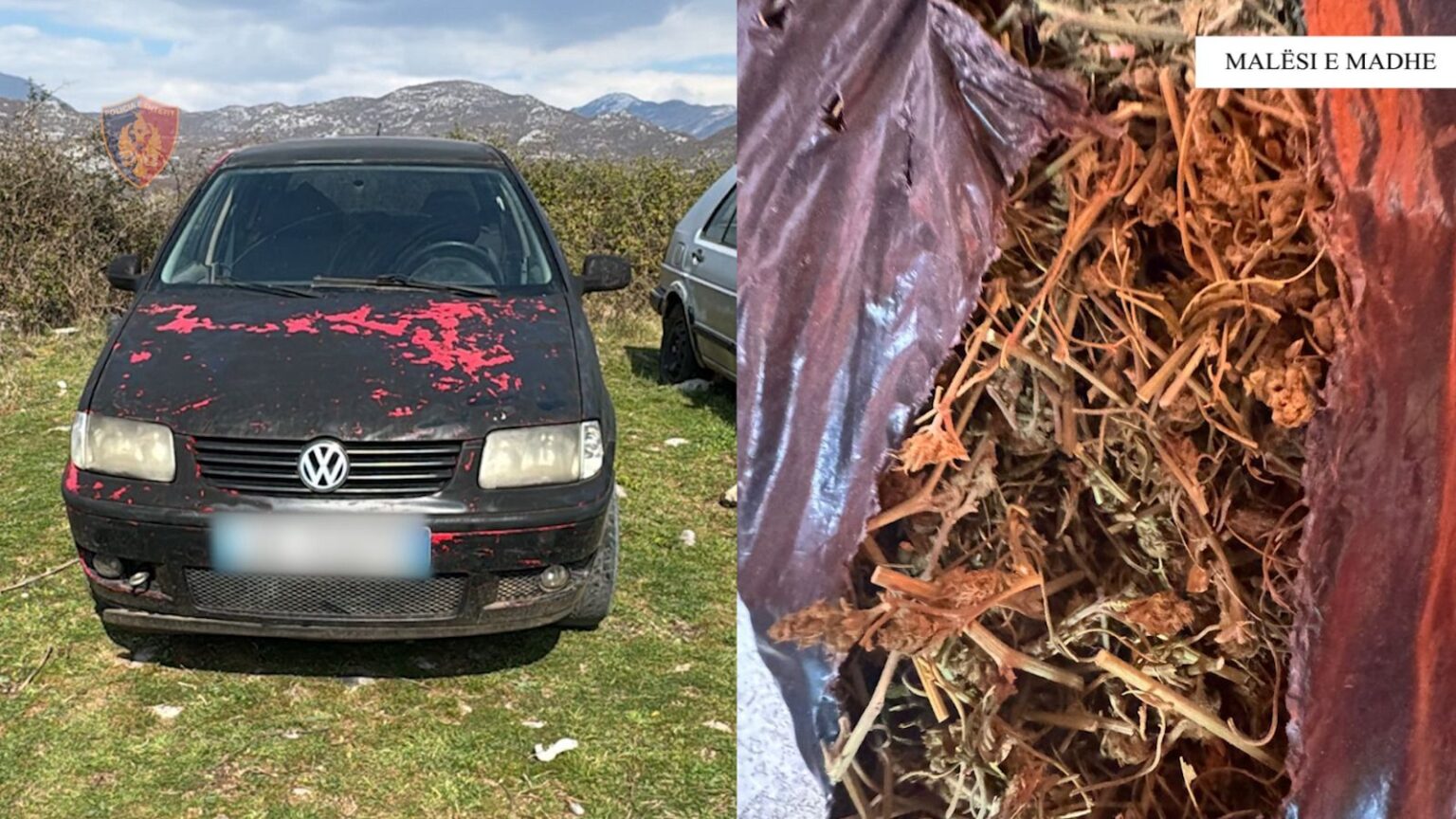 EMRA/ Tre të arrestuar per makinat e vjedhura ne Kelmend, armë dhe kanabis sekuestruar
