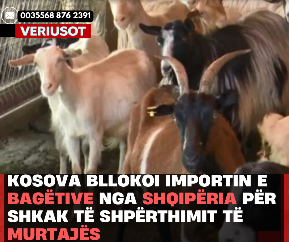 Kosova bllokoi importin e bagëtive nga Shqipëria për shkak të shpërthimit të murtajës.