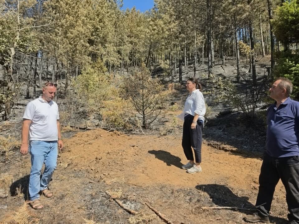 Zjarri në Fushe Arrez shuhet, nënprefektja A.Gjyrezi: “Shmangëm dëme më të mëdha”